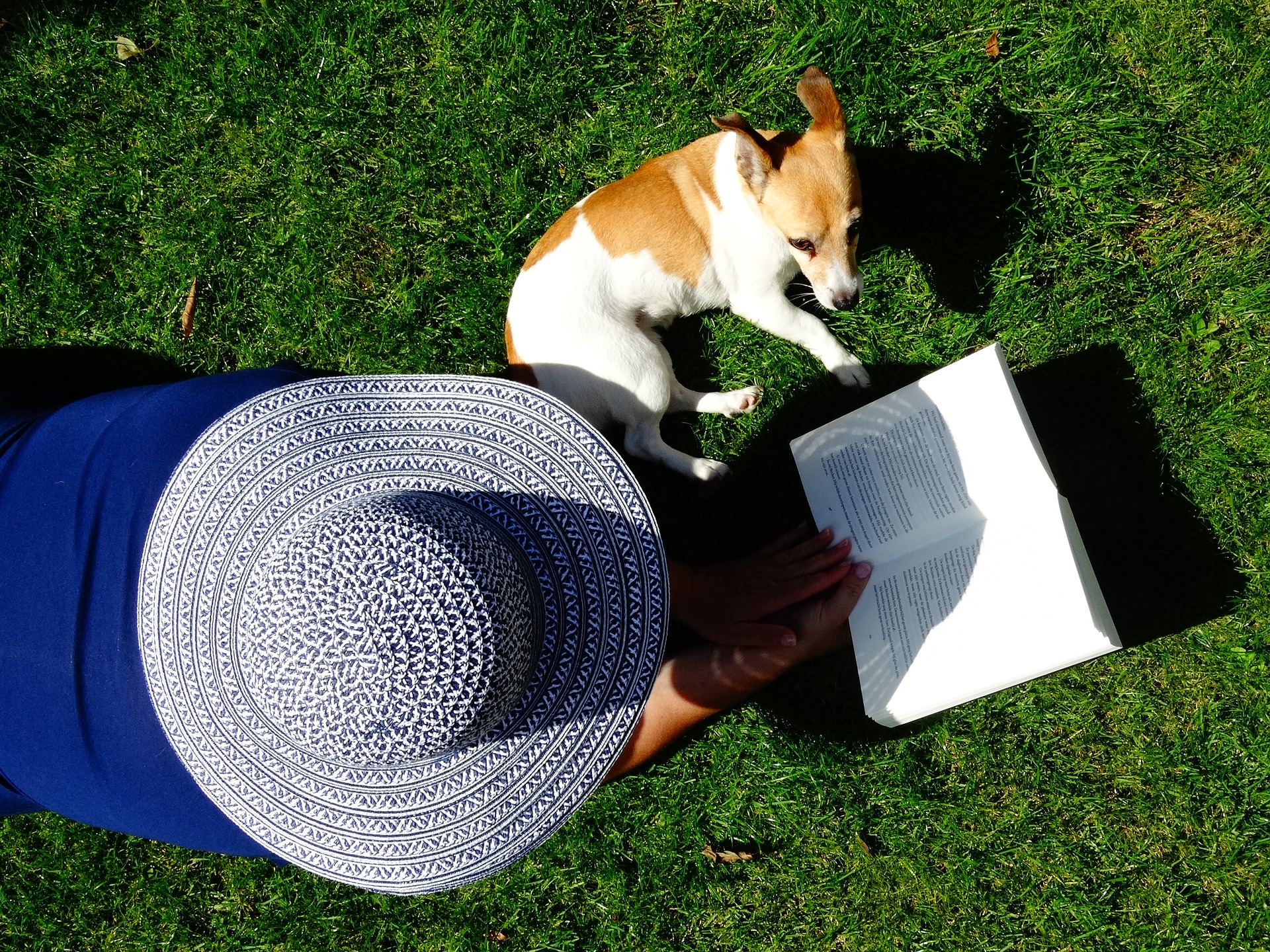 hat-2140283_1920(1)