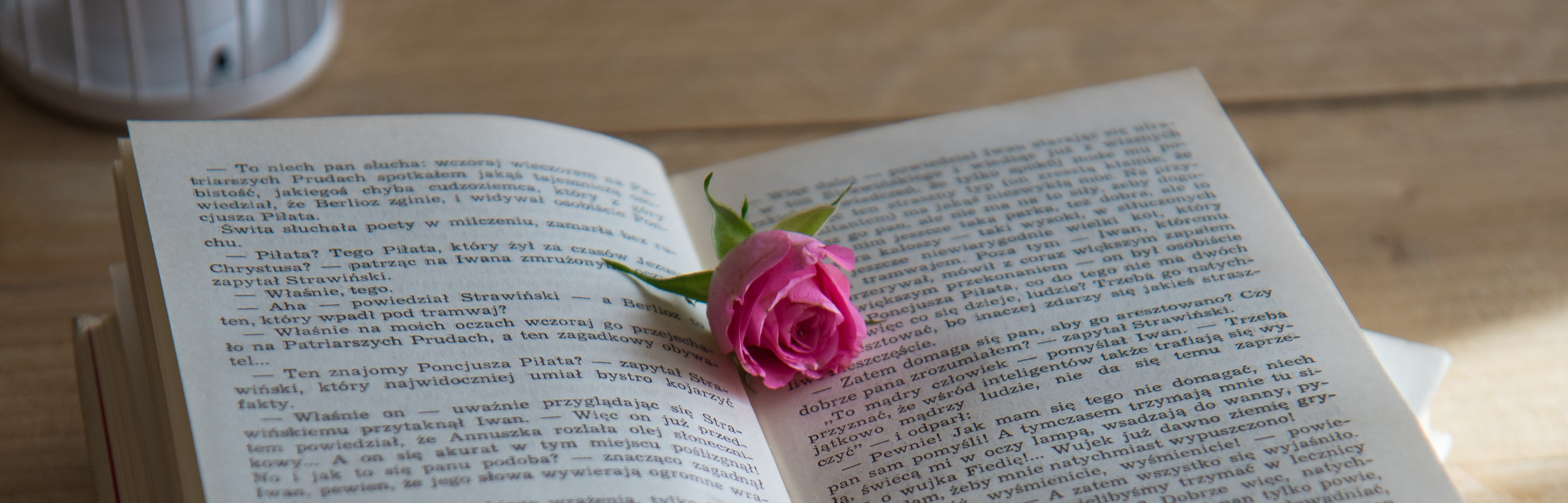 Kirja ja ruusu